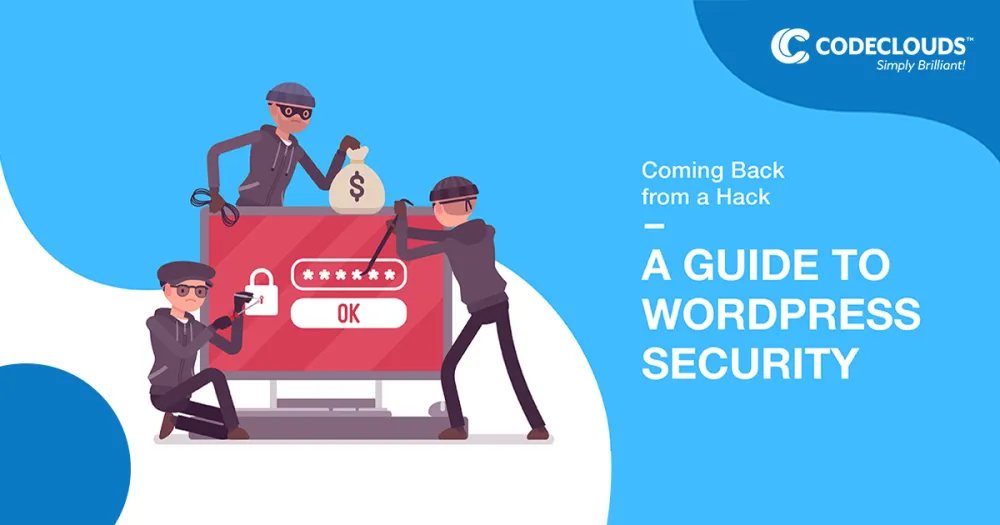 Coming Back from a Hack: A Guide to WordPress Security